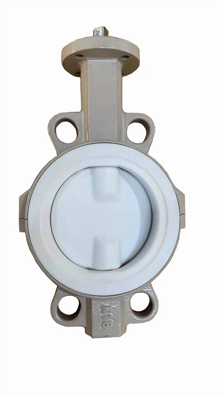 Split lug butterfly valve3(001)