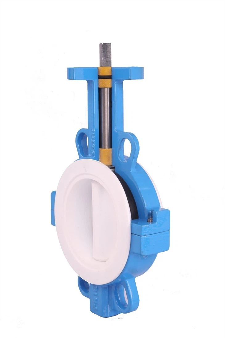 Split lug butterfly valve4(001)