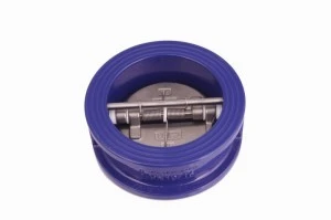 Wafer/Lug/Swing/Slot End Flens gietijzer/roestvrij staal terugslagklep voor waterbrandbeveiliging
